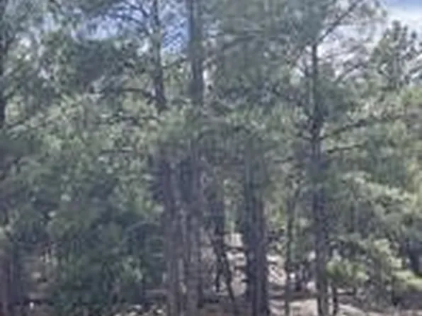 45 Silver Feather Trl, Pecos, NM 87552