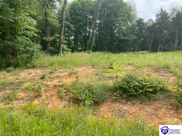 6 Whistling Oaks Dr, Glendale, KY 42740
