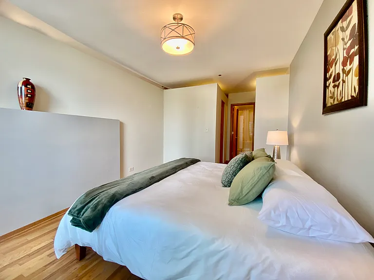 910 S Michigan Ave #1308 — Photo 17