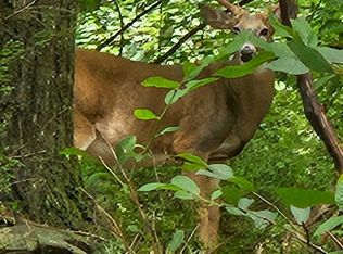 State Route 3015/mount Eaton Rd, Saylorsburg, PA 18353