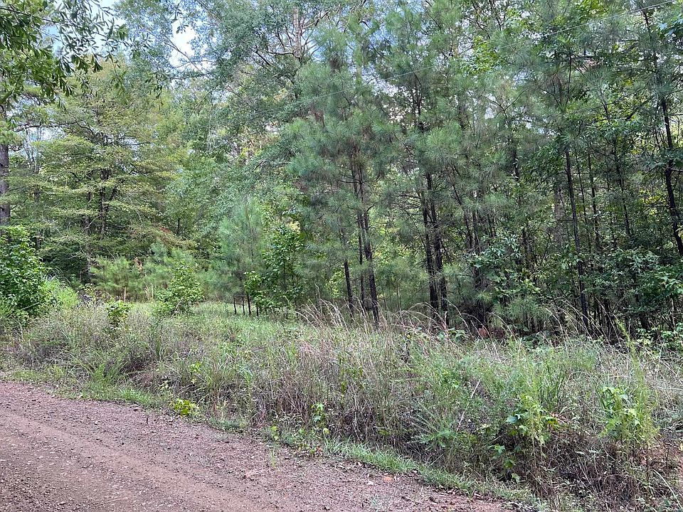 227 County Road 2940, Shelbyville, TX 75973 Zillow