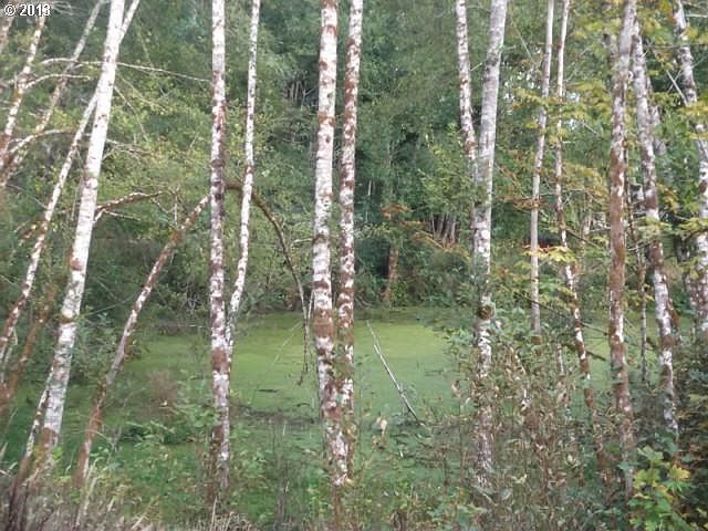 2nd image of 0 Scappoose Vernonia Hwy
