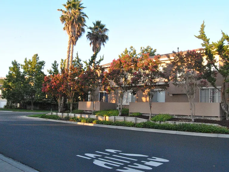 3509 Jasmine Cir — Photo 12