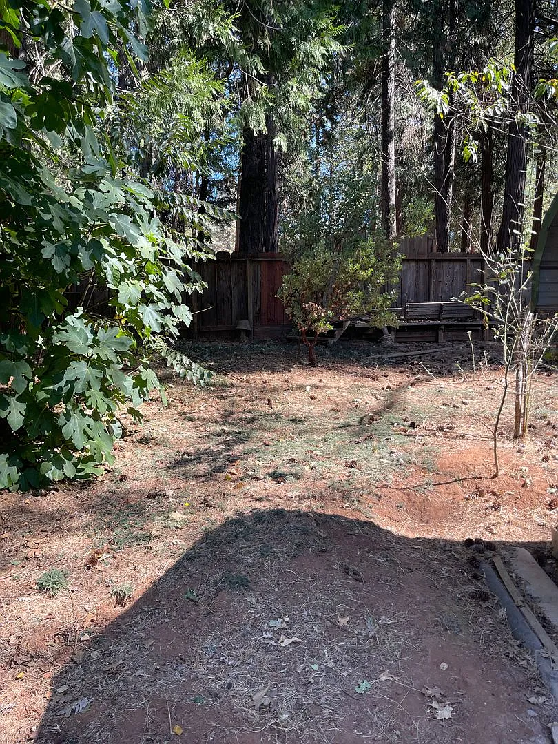 Magalia 2 bed 2 bath home with detached garage and carport-partially fenced back yard — Photo 3