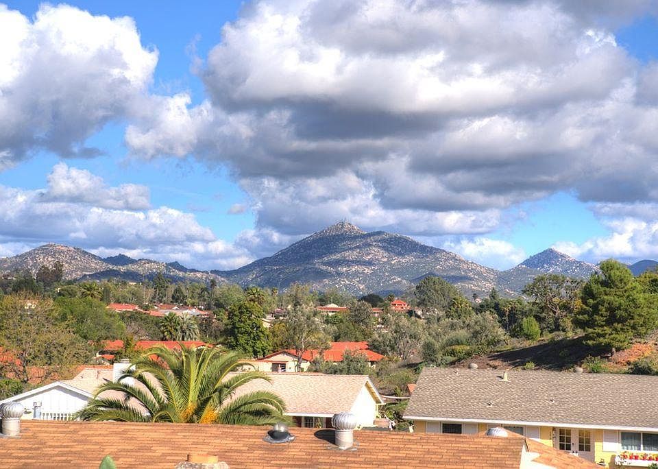 Back yard View