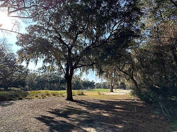 5th image of Lot 173 Sanderling Ave.