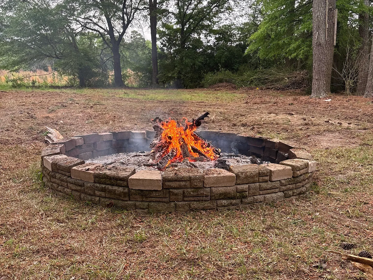 3 bed, 1730 sqft, $1,950 — Photo 4