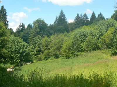 0 NE 431 Appro, Woodland, WA, 98674