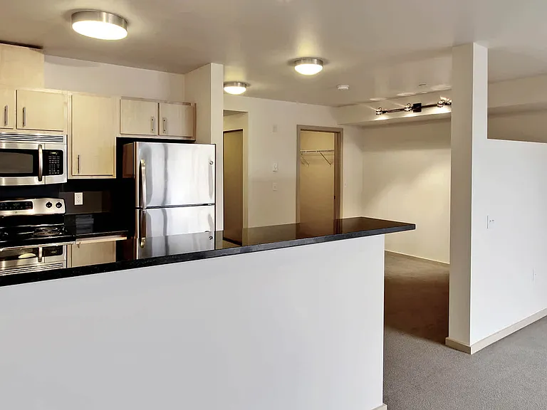 Kitchen with Stainless Steel Appliances