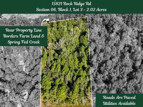 15821 Ridge Rock Rd, Willis, TX 77378