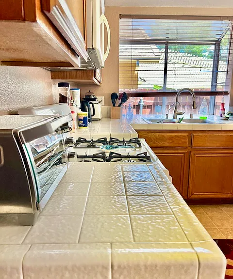 1254 Scenic View St — Photo 11