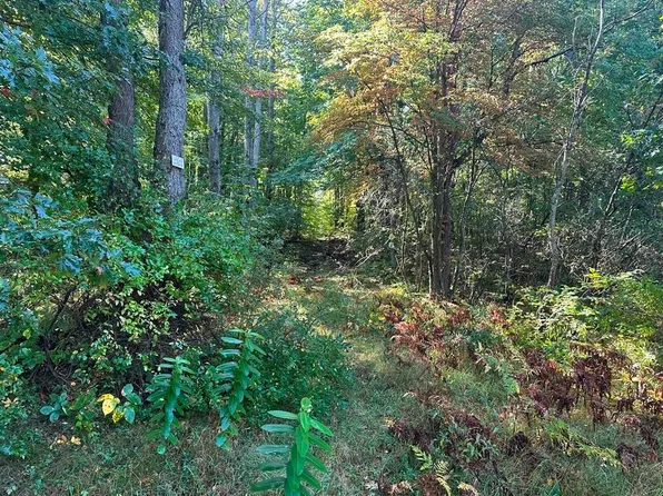 300-28 Easement Rd, Harrison, MI 48625