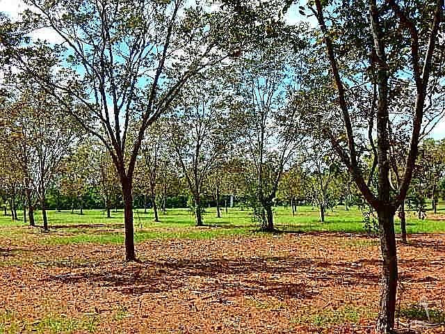1st image of Green Bay Road LOT 4