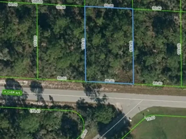 3517 Plover Ave, Lake Placid, FL 33852