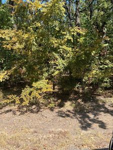 222 Chillacothe Trl, Mabank, TX, 75156