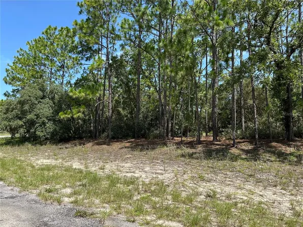 4053 W Firewood Loop Lot 20, Dunnellon, FL 34433