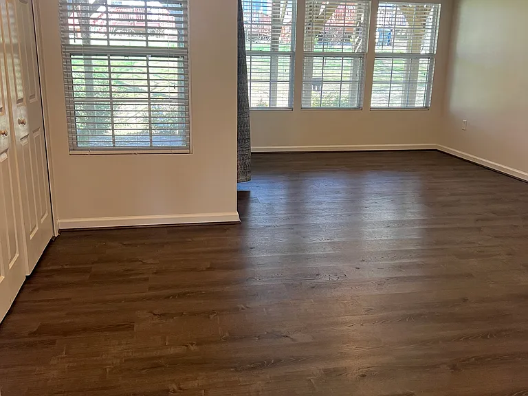 This is the room