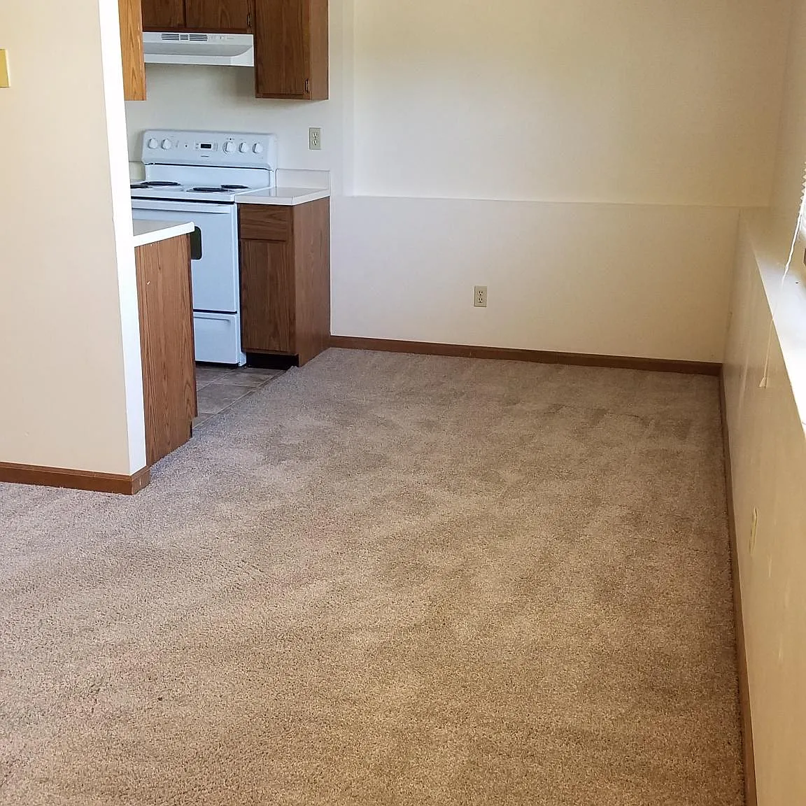 2 bed, $600 — Photo 4