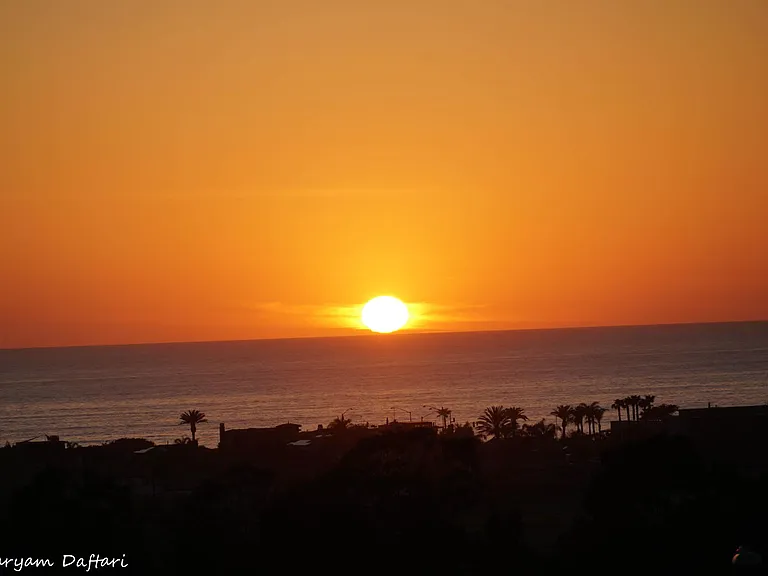 blazing romantic sunsets
