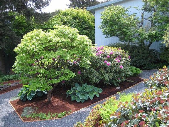 Everything in the garden is low maintenance but beautiful!