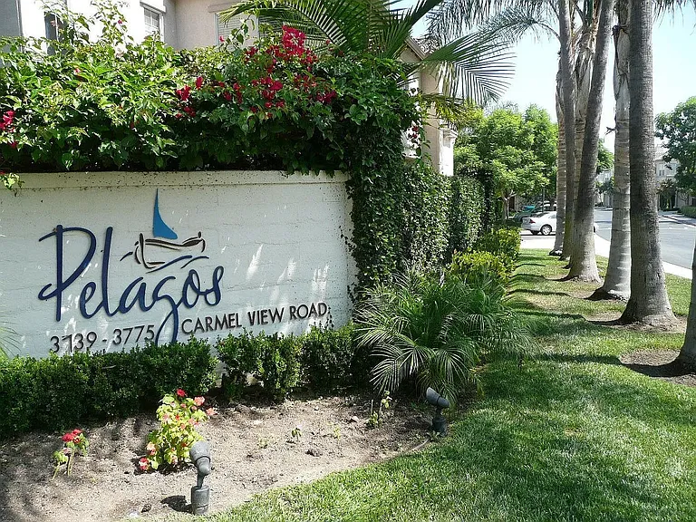 3755 Carmel View Rd #1 — Photo 6