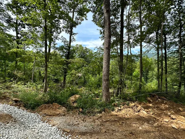 4724 Highway 297, Newcomb, TN 37819
