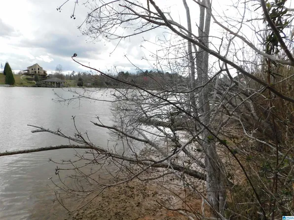 0 Lock 1 Rd #2, Ashville, AL 35953