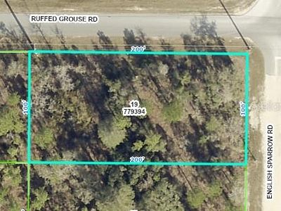 English Sparrow Rd LOT 19, Brooksville, FL, 34614