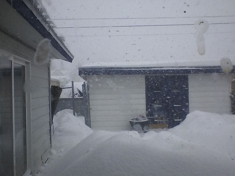 2nd image of 329 Mount Harvard Dr