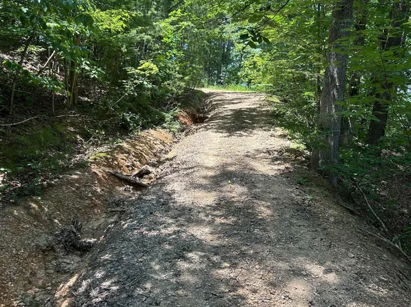 Henderson Springs Rd, Pigeon Forge, TN 37863