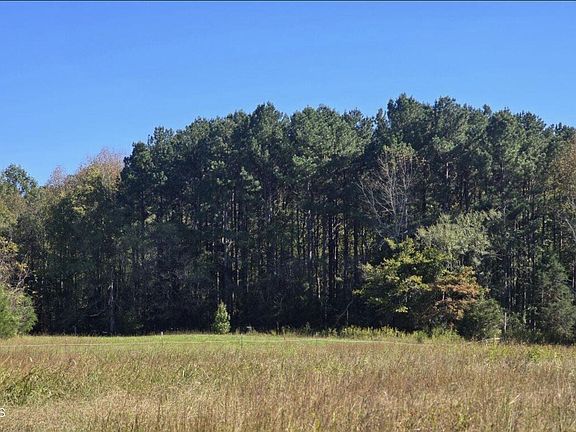 2nd image of State Highway 86 N Lot 1