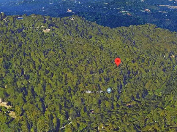 Rosebloom Ave, Felton, CA 95018