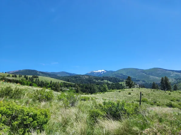 12 Diginity Ranch Rd, Malo, WA 99150