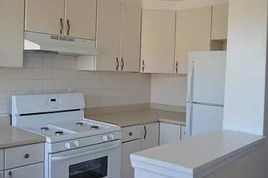 Rented by Realty Collective