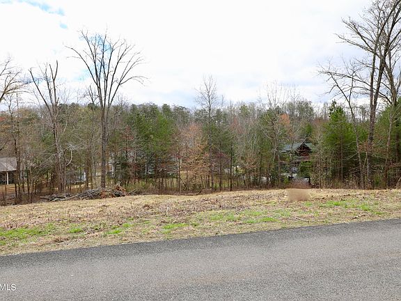 2nd image of Pine Loop Dr