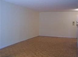 Living/Dining area