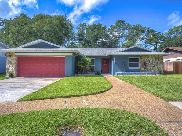 4226 Summerdale Dr, Tampa, FL 33624