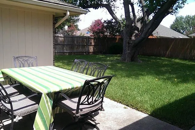 back yard.