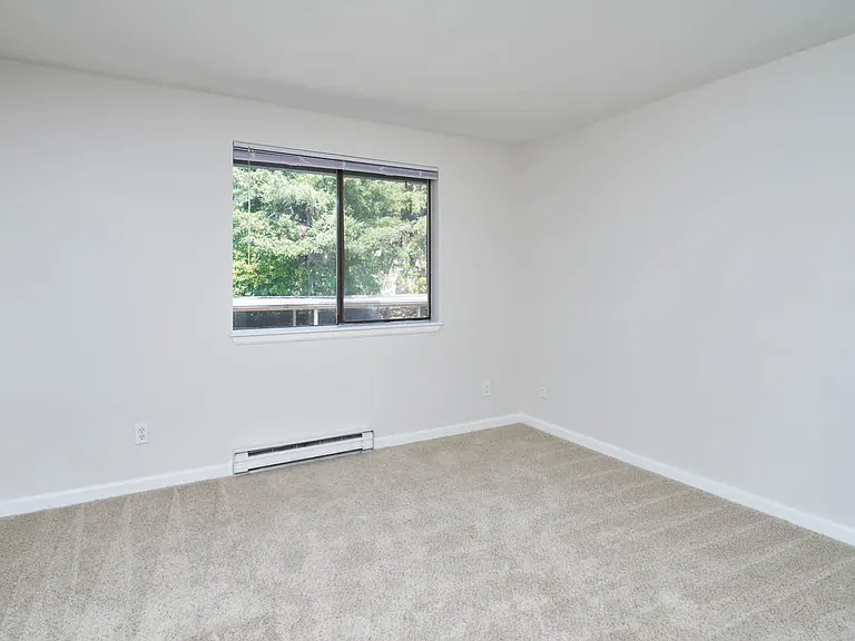 Carpeted Bedroom