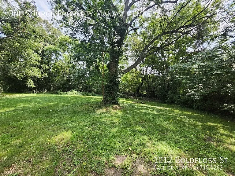 1012 Goldfloss St — Photo 17