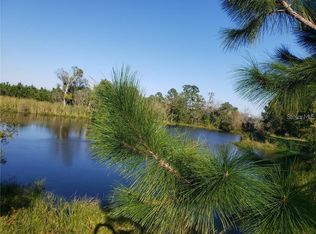 Mitchell Rd, Land O Lakes, FL 34638