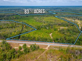 8788 State Highway 55, Florala, AL 36442