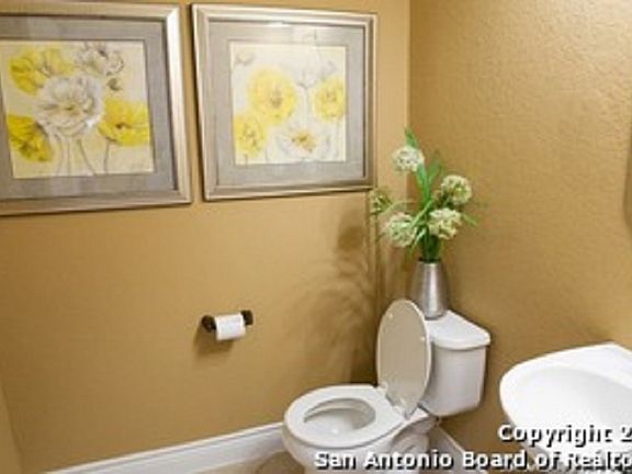 2nd image of 12908 Texas Gold