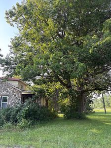 8590/8570 N Spruce Rd, Ossineke, MI, 49766