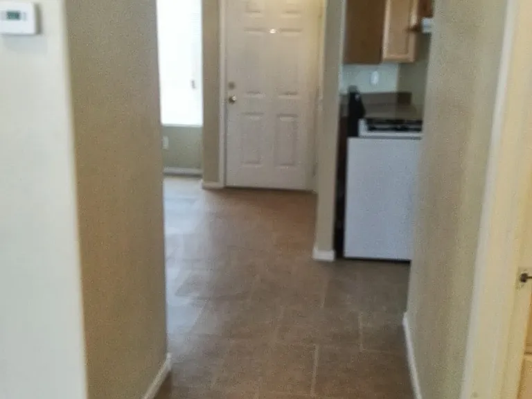 1860 Crystal Gem St — Photo 11
