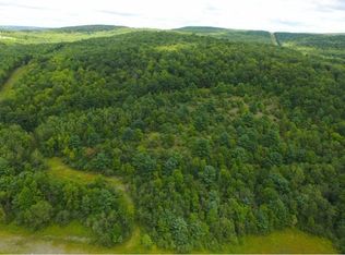 177 Meeker Rd, Vestal, NY 13850