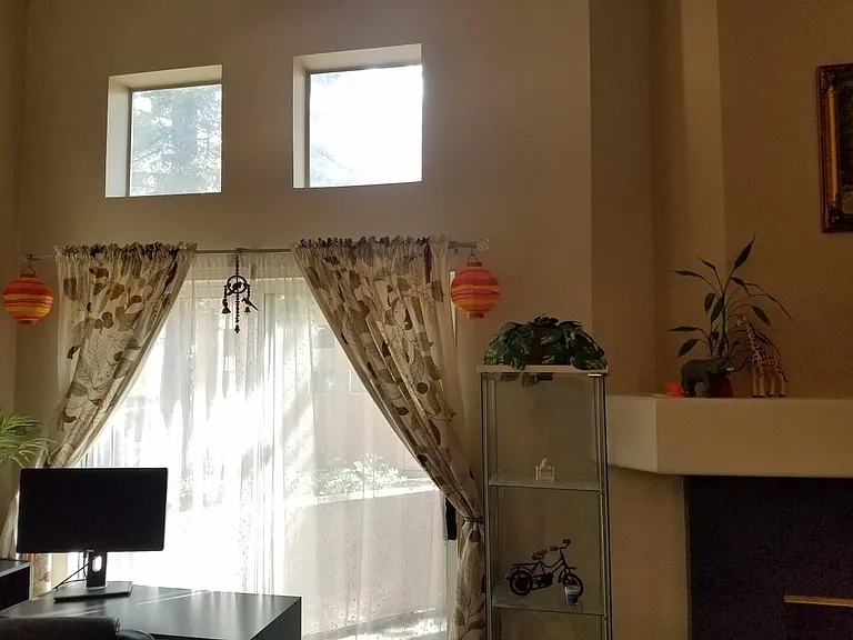 Patio access from living room and redwood trees in view