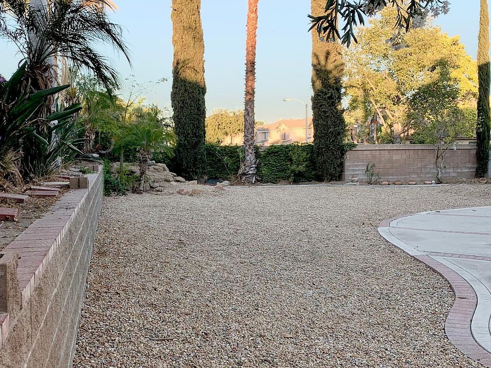 low maintenance back yard