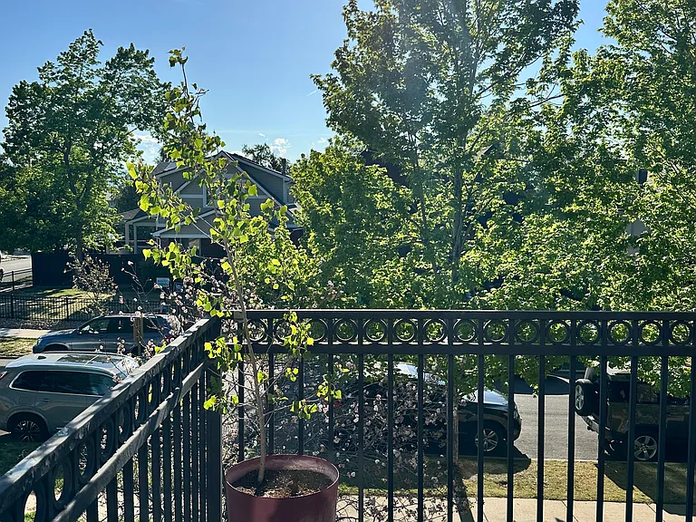 1884 S Clarkson St — Photo 41