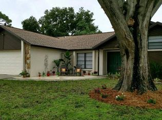 1009 Cameo Crest Ln, Valrico, FL 33596